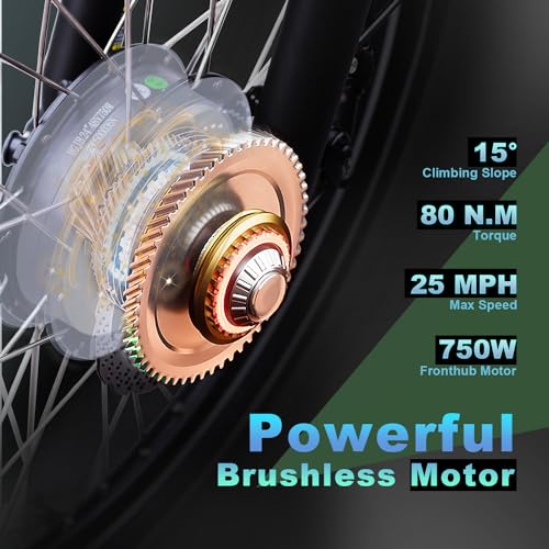 750W Motor 48V 16AH Battery Full Suspension Electric Tricycle O23089