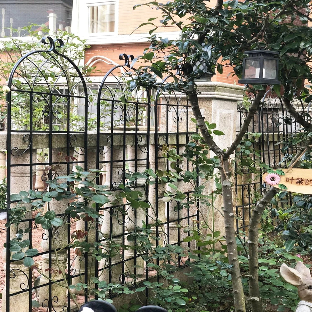 2 Pack Large Heavy Duty Rustproof Black Iron Plant Trellis C283