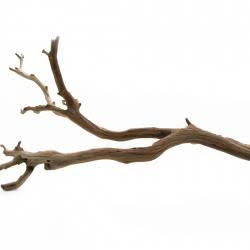 California Driftwood W733