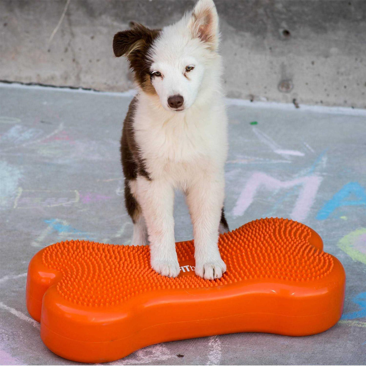 Agility Training W392750