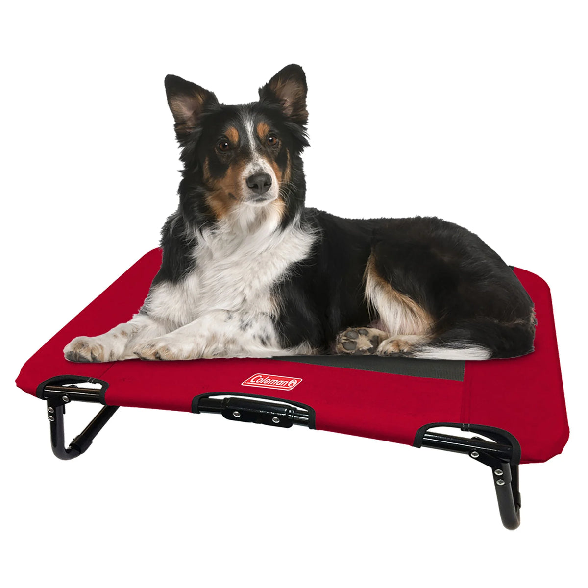 Folding Cot U8540