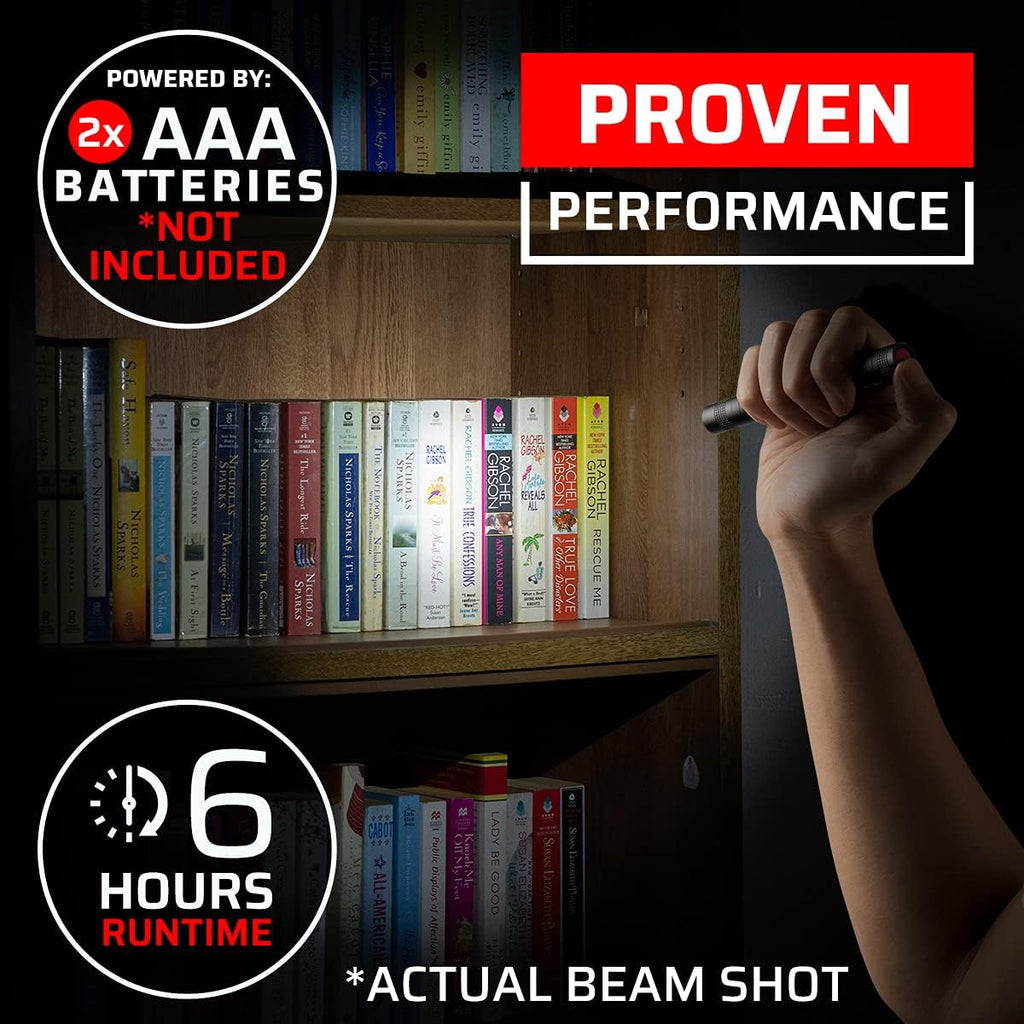 2 Small LED Pocket Flashlights with Clip L296346