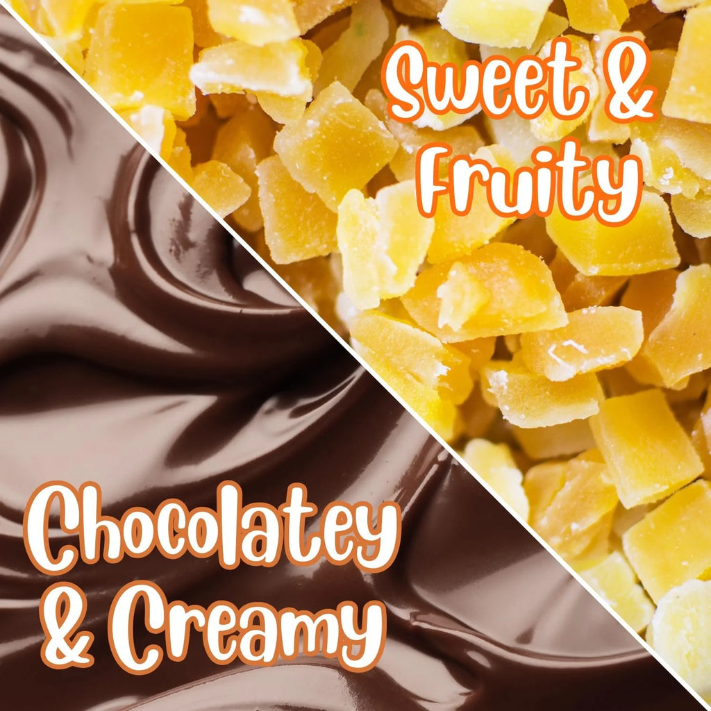 Dark Chocolate Covered Dried Mango 2 Lbs Bulk Bag U675567