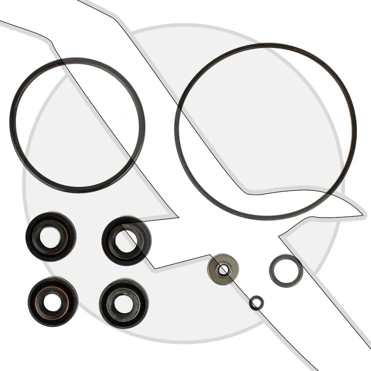 Lower Unit Seal Kit E700