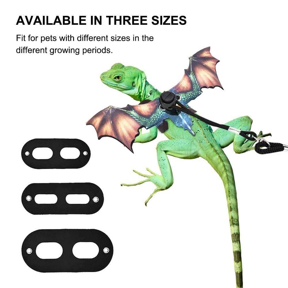 Adjustable Portable Reptile Leash with Wings E650555