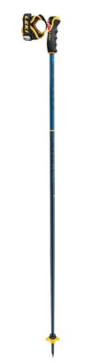 105 cm Ski Poles T889491