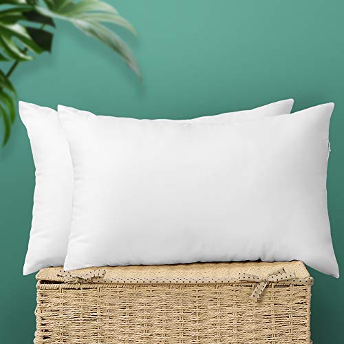 12" x 20" Set of 2 Throw Pillow Inserts M2601