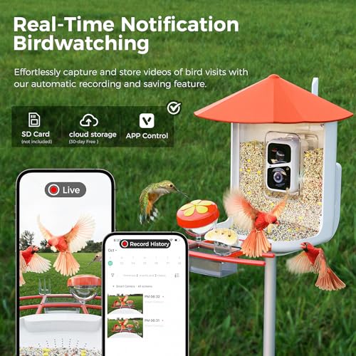 Bird Feeder with Camera F607321