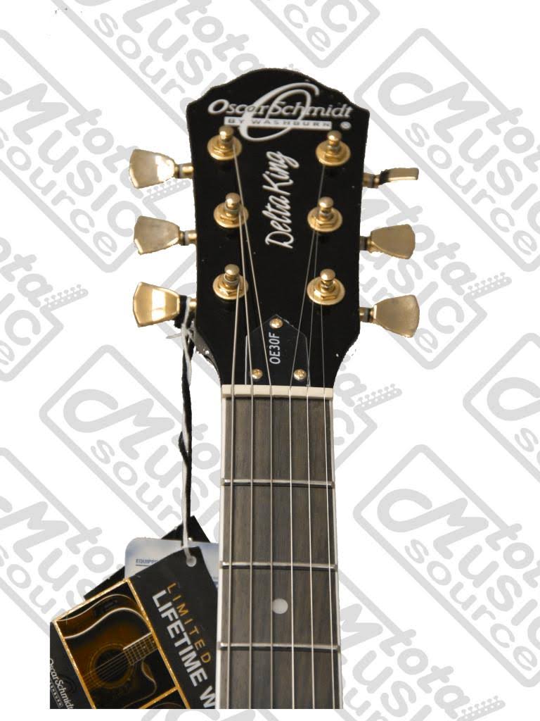 Blueburst Semi Hollow Electric Guitar E8603