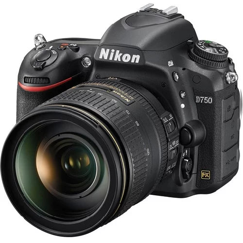 Black 24.3 MP Digital SLR Camera with 24-120mm Lens M227
