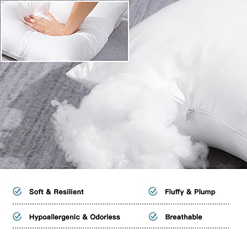 12" x 20" Set of 2 Throw Pillow Inserts M2601