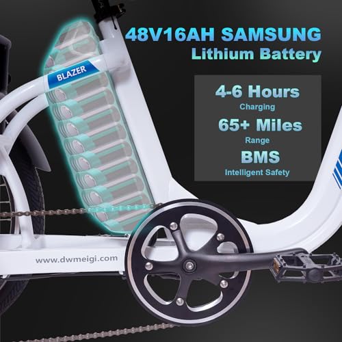 750W Motor 48V 16AH Battery Full Suspension Electric Tricycle O23089