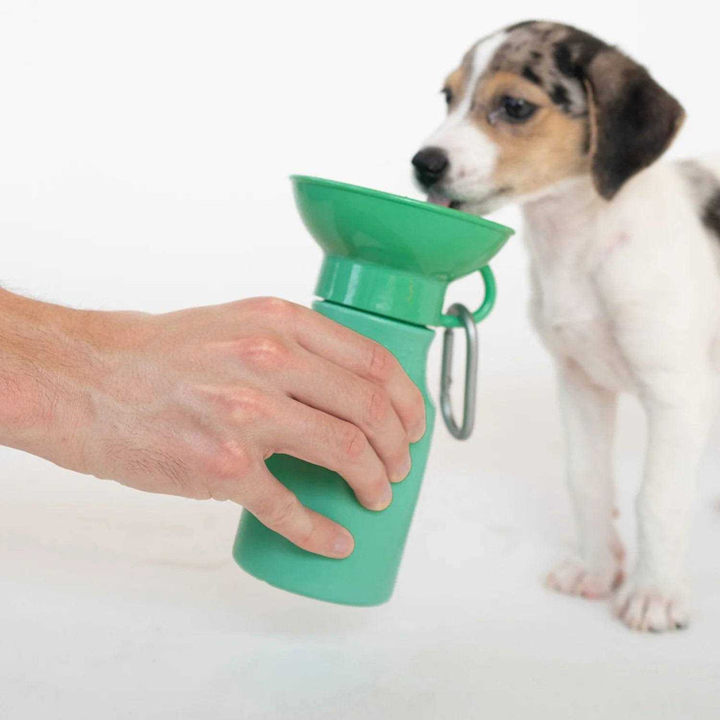 Mini Travel Bottle L706