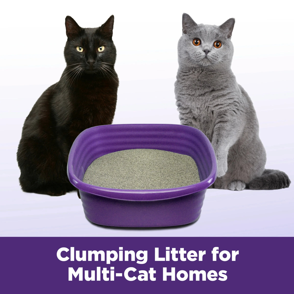 Clumping Cat Litter, 14 lbs E89684