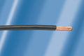 Hook-Up Wire 1000 ft C408189