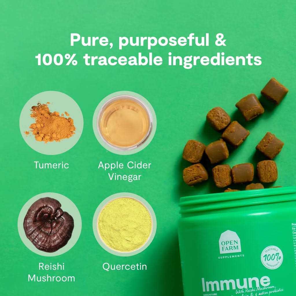 Dog Supplement Immune Chews Z3067