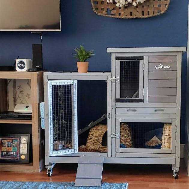 Outdoor & Indoor Bunny Hutch D5096