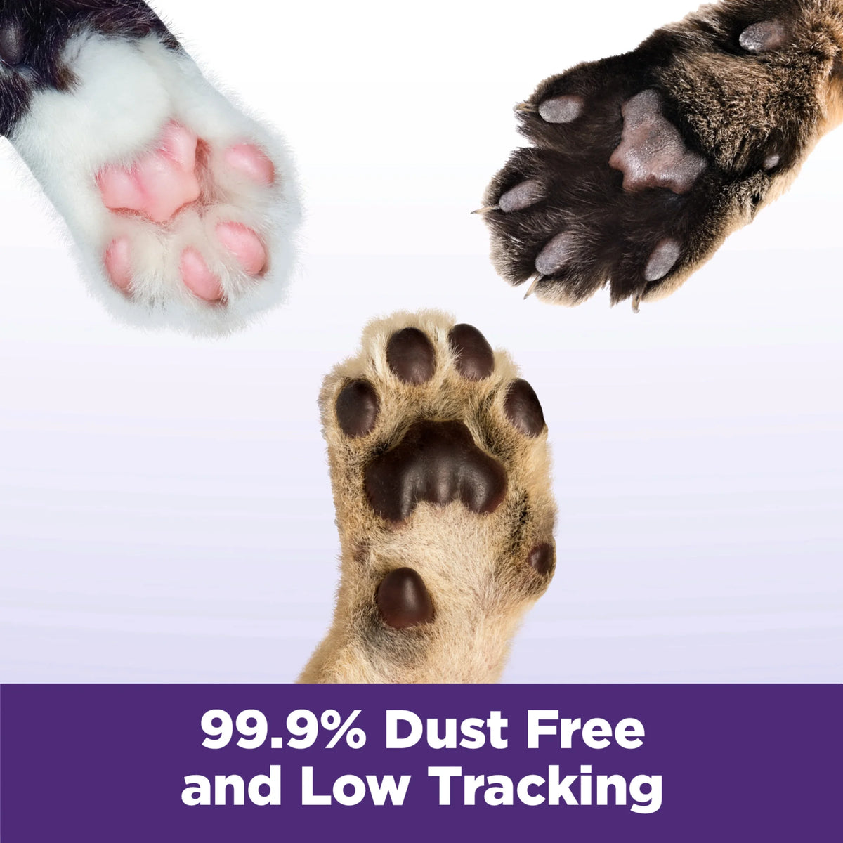 Clumping Cat Litter, 14 lbs E89684