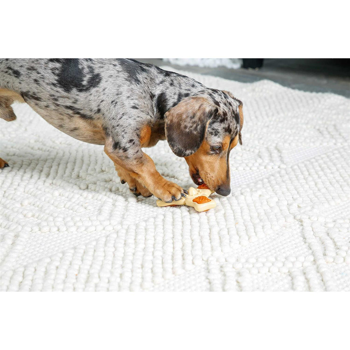 Chew Toy U737734