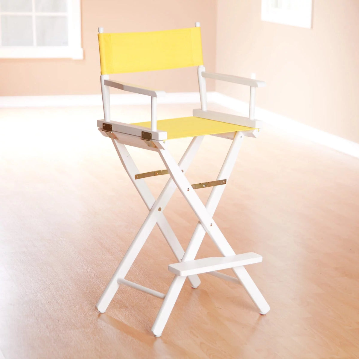 Director's Chair D69396