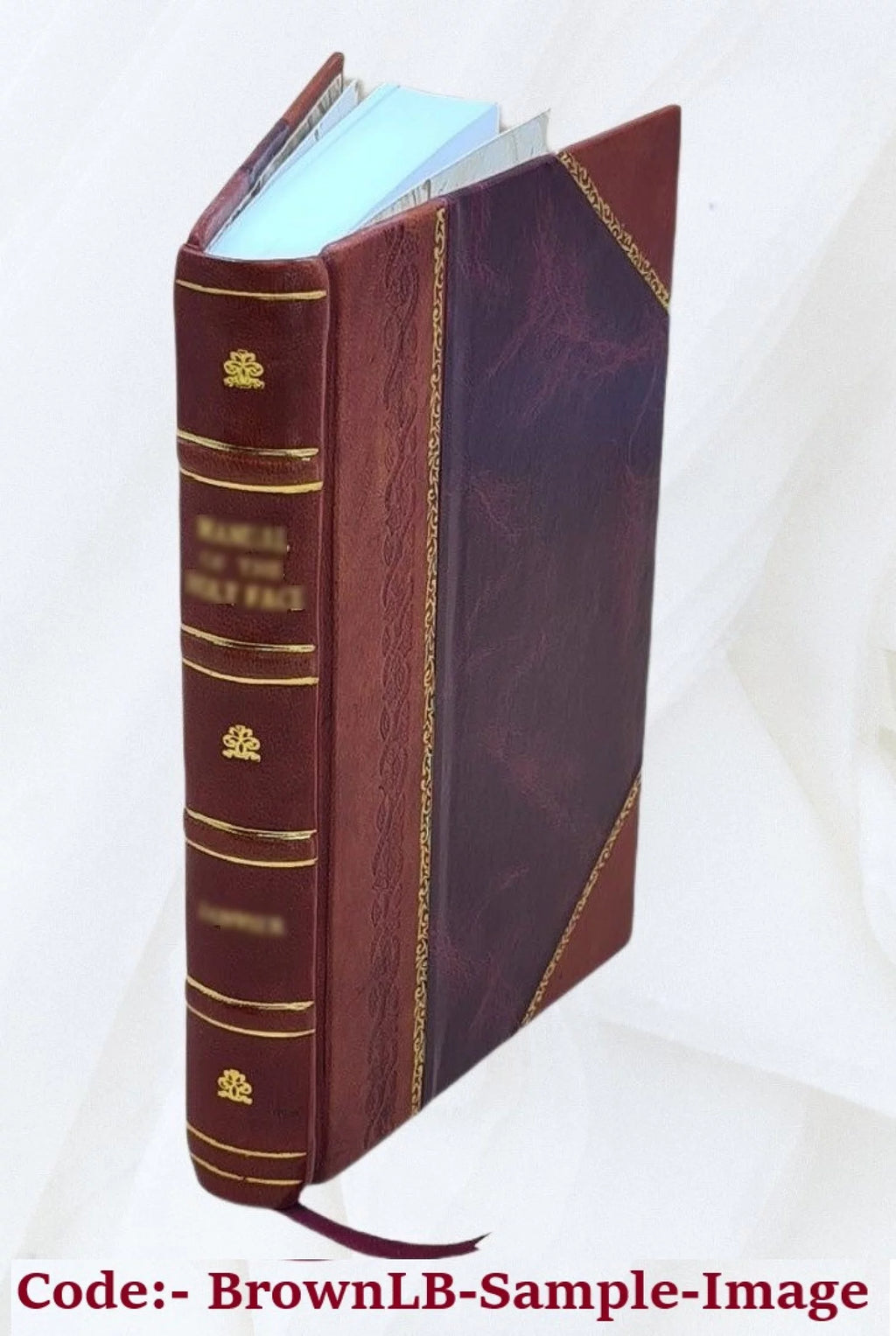 La baraonda; romanzo. 1914 [Leather Bound] J134