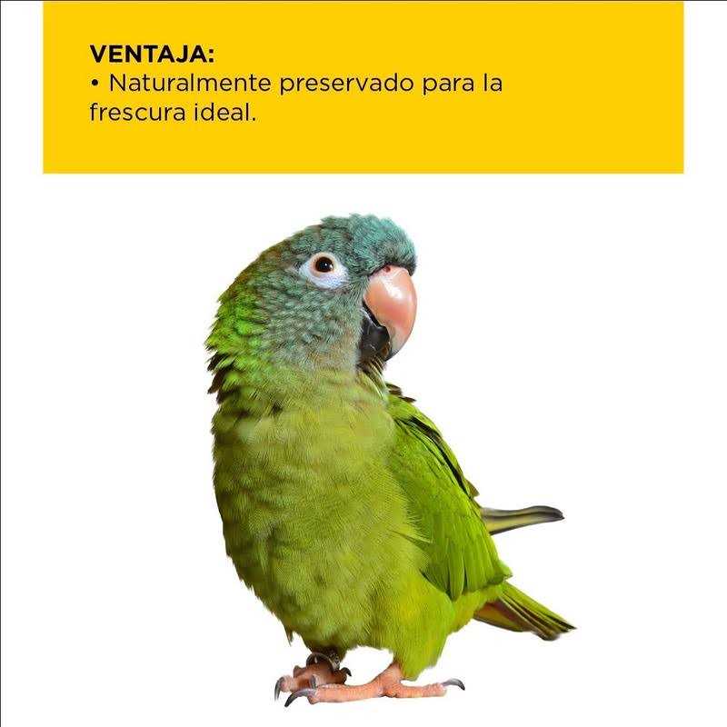 Parrot Food I565637