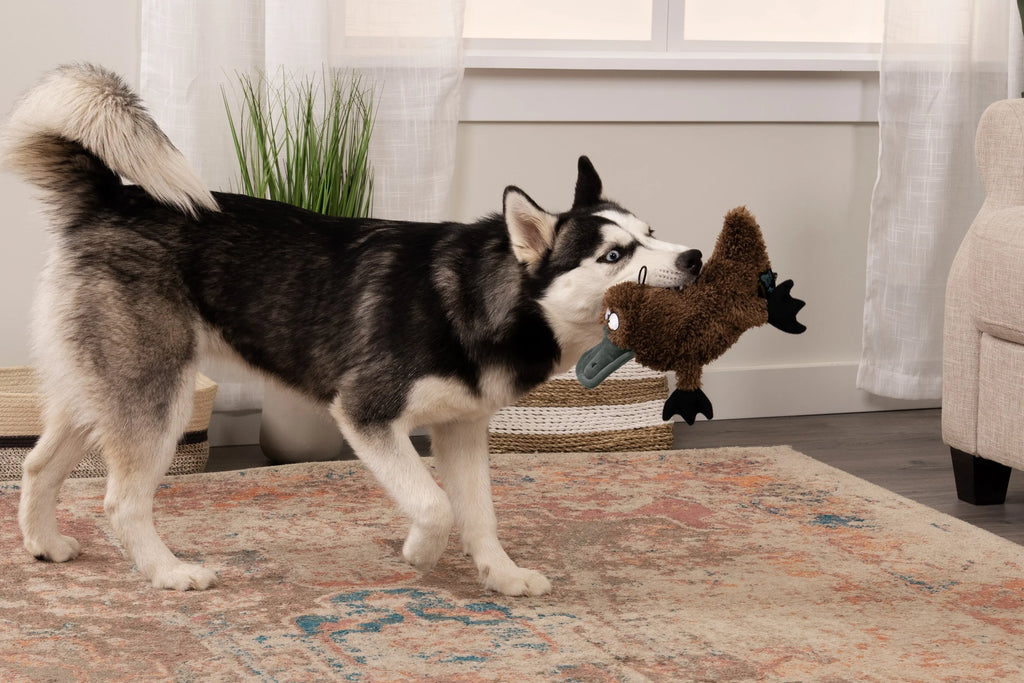Brown Large Plush Dog Toy with Chew Guard Y723