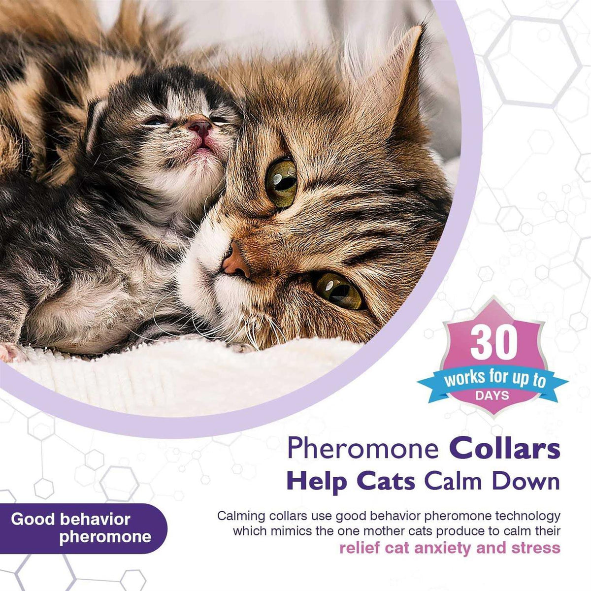 3 Pack Calming Collar V331985