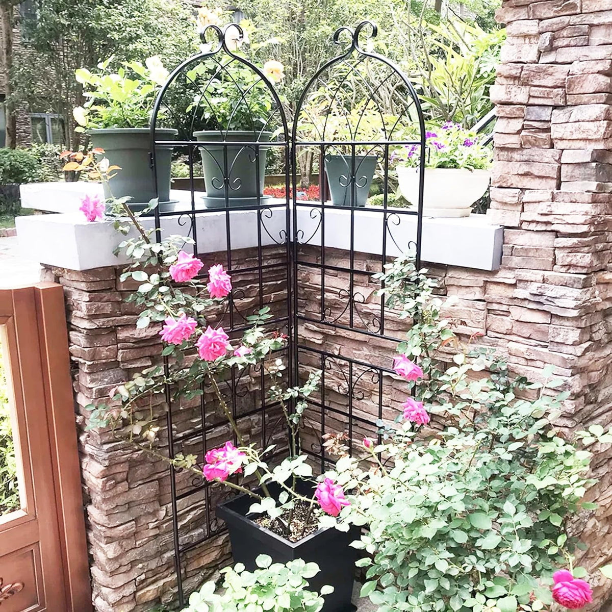 2 Pack Large Heavy Duty Rustproof Black Iron Plant Trellis C283
