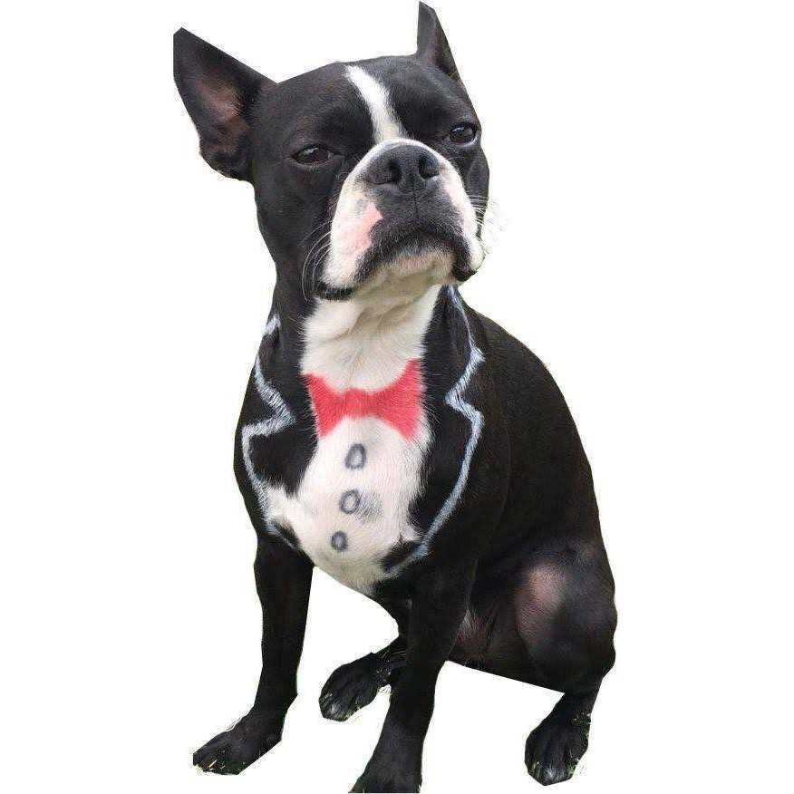 Pet Supplies B3579