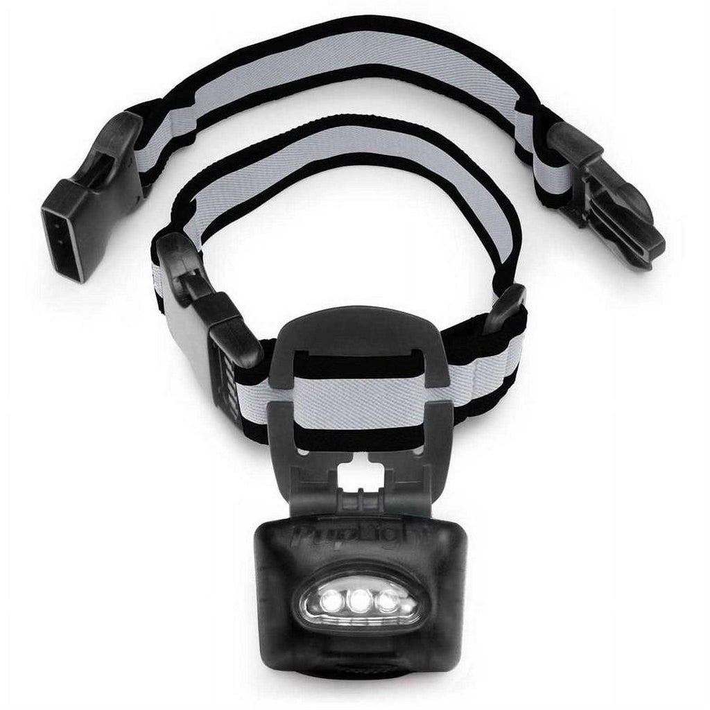 Dog Safety Light I456547