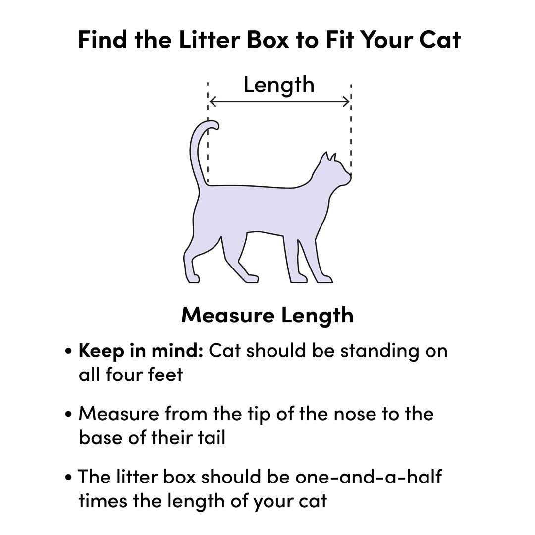 Sifting Cat Litter Box Z995