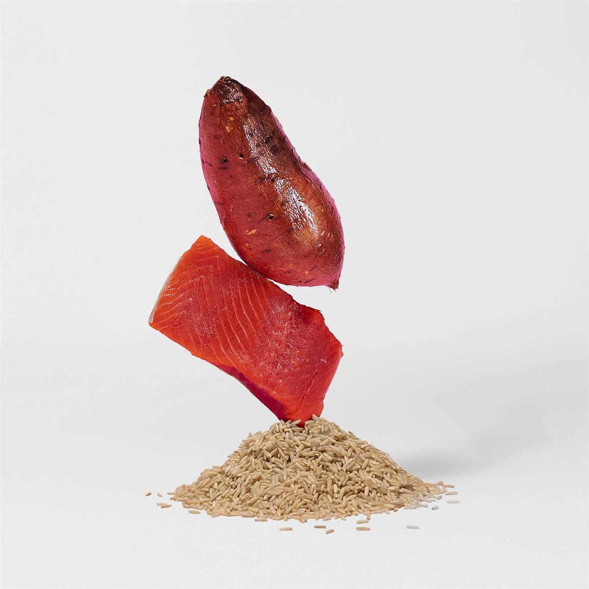 Salmon Brown Rice & Sweet Potato Dry Dog Food Y43676