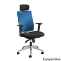 Manager Chair with Headrest F560