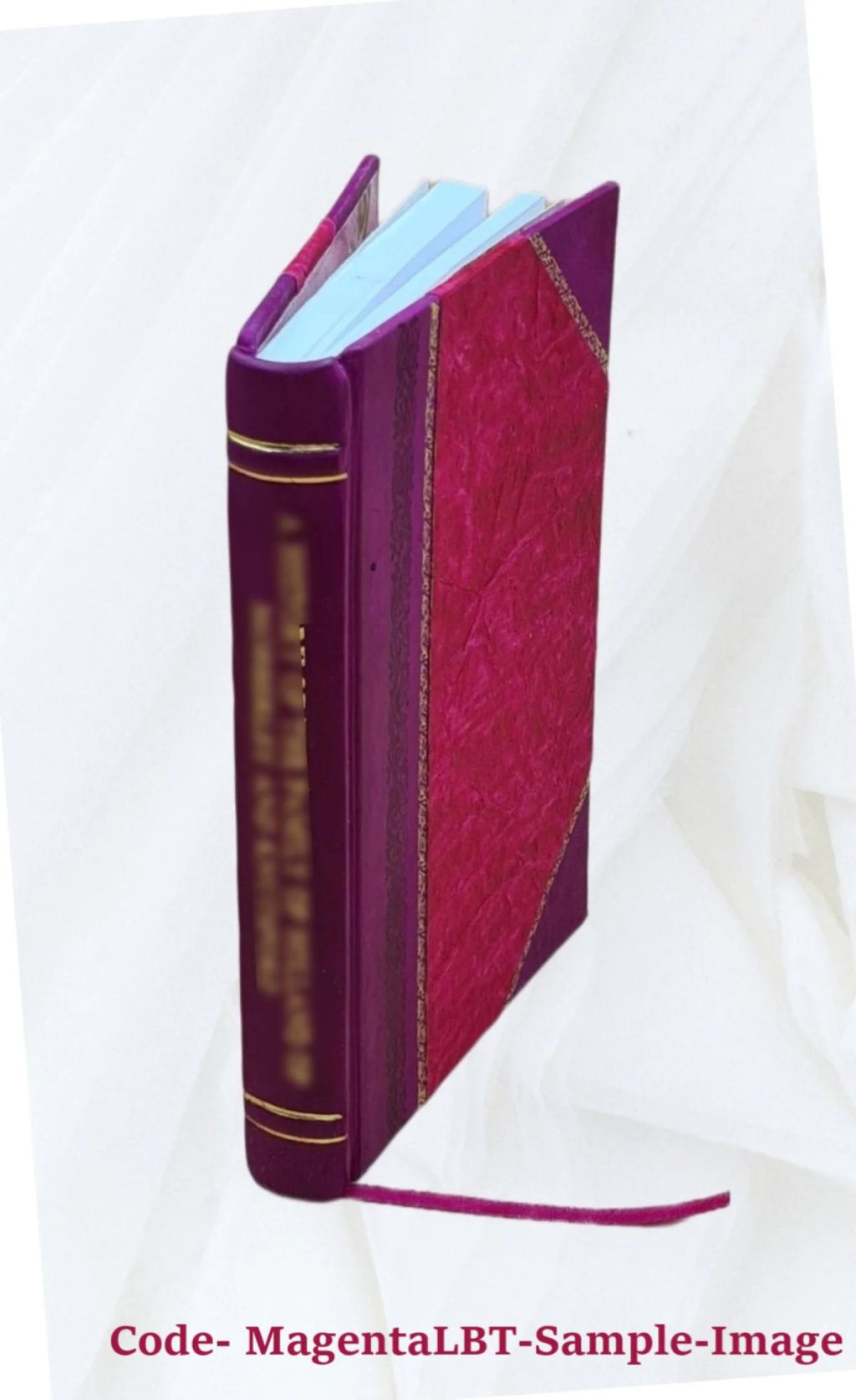 Plattsburgh Centennial Celebration Program Leather Bound N689