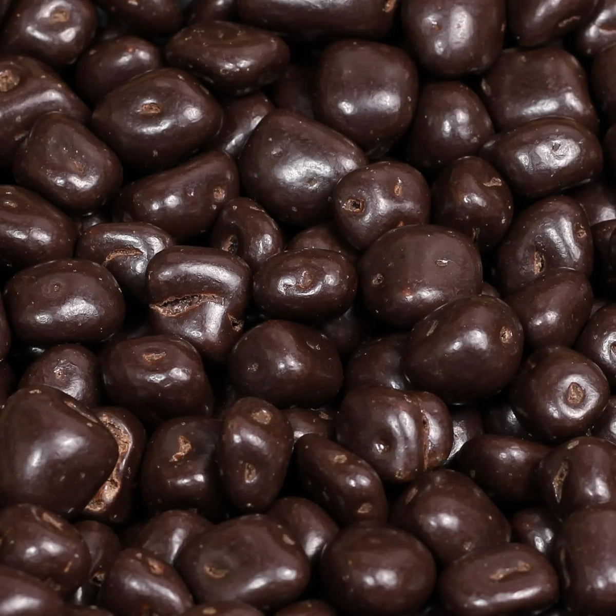 Dark Chocolate Covered Dried Mango 2 Lbs Bulk Bag U675567