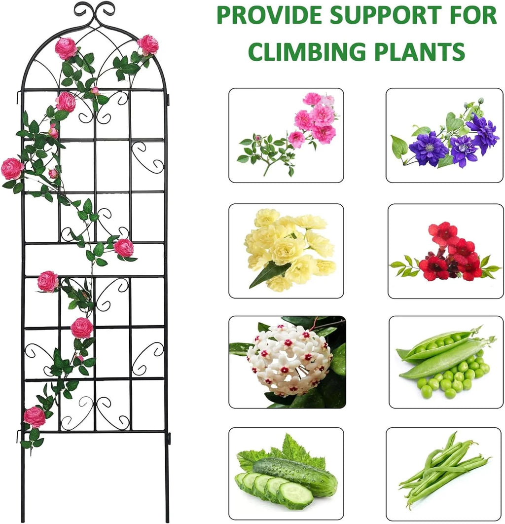 2 Pack Large Heavy Duty Rustproof Black Iron Plant Trellis C283