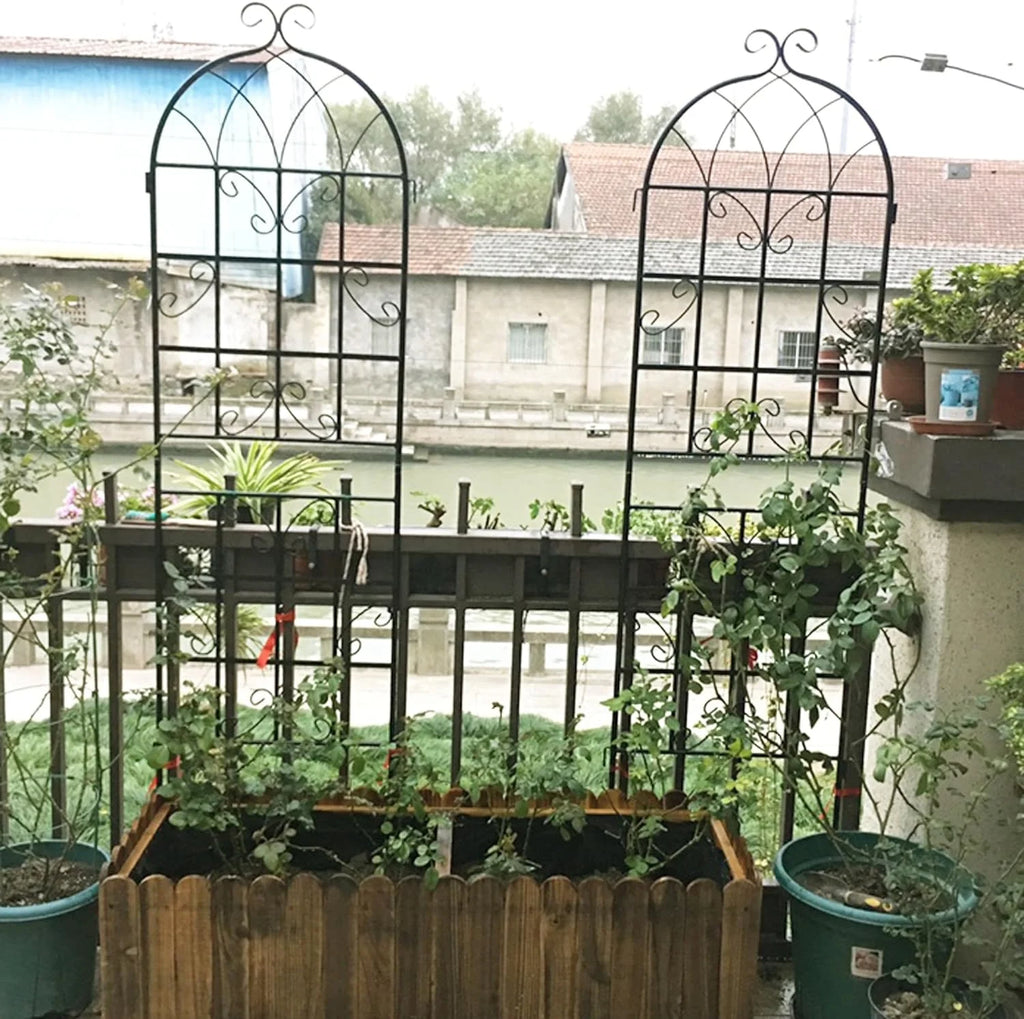 2 Pack Large Heavy Duty Rustproof Black Iron Plant Trellis C283