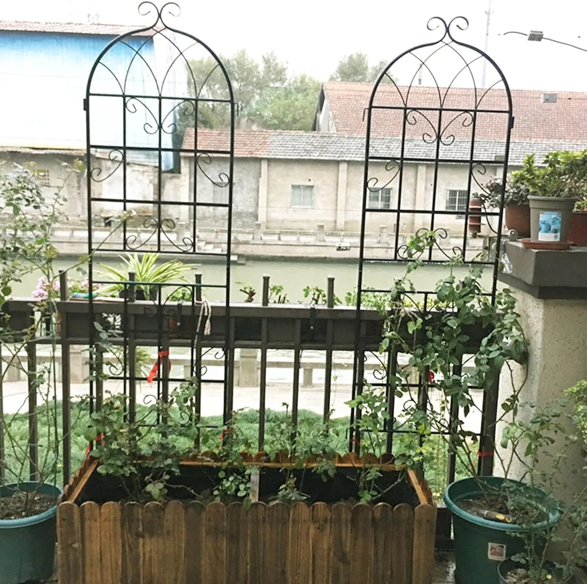 2 Pack Large Heavy Duty Rustproof Black Iron Plant Trellis C283