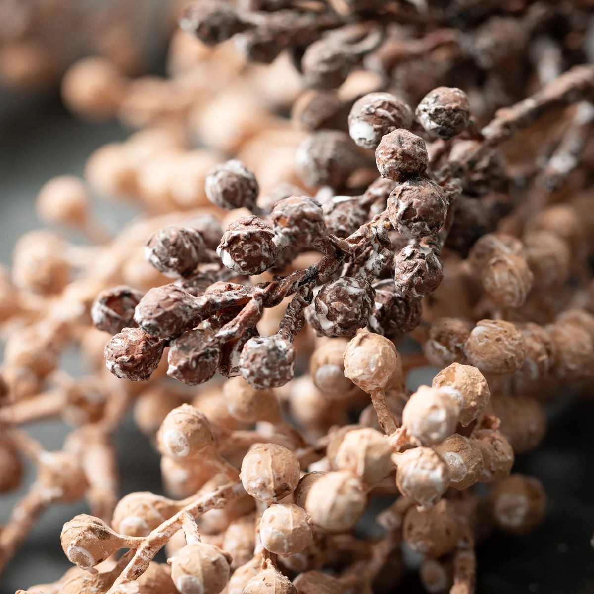 Artificial Dried Blush Berry Stem Set of 2 K28300