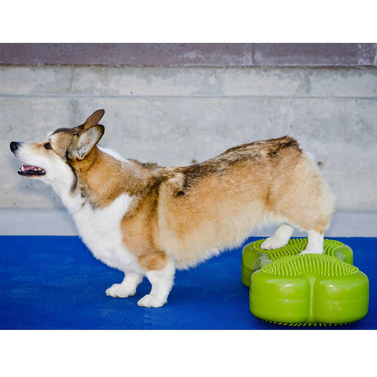 Agility Training W392750
