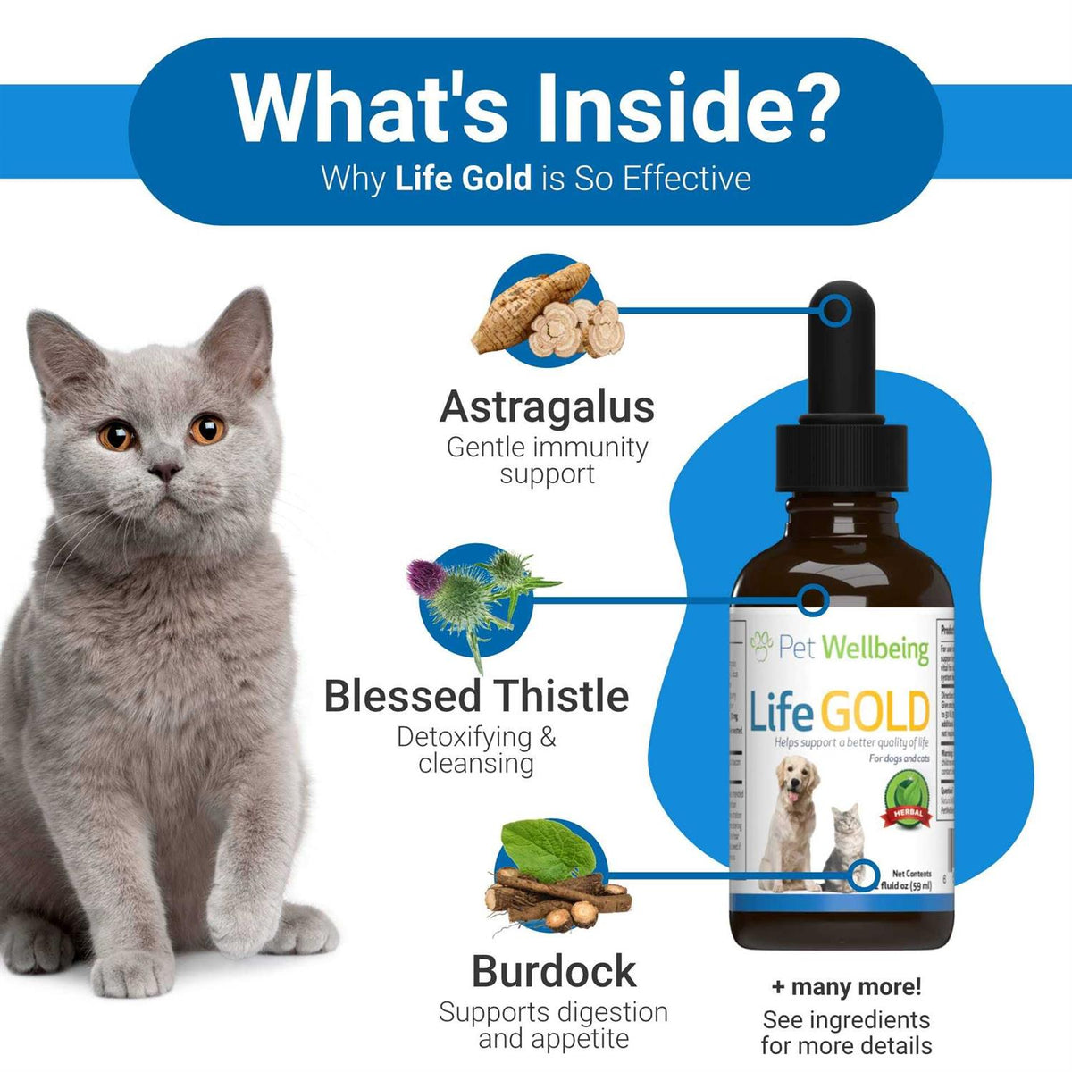 Life Gold for Dogs R51782