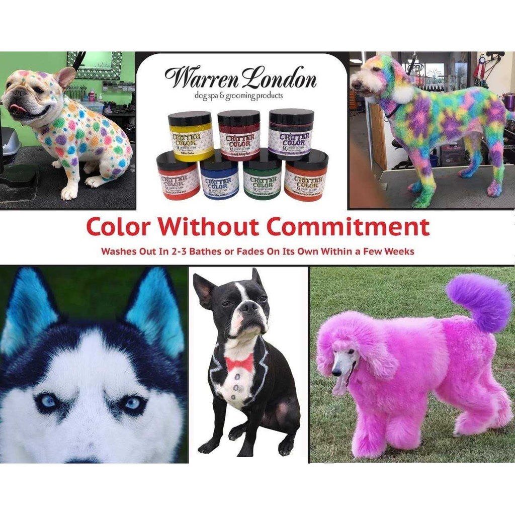 Pet Supplies B3579