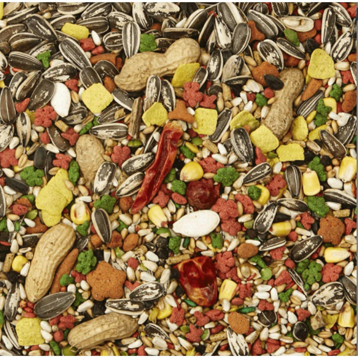 Parrot Food I565637