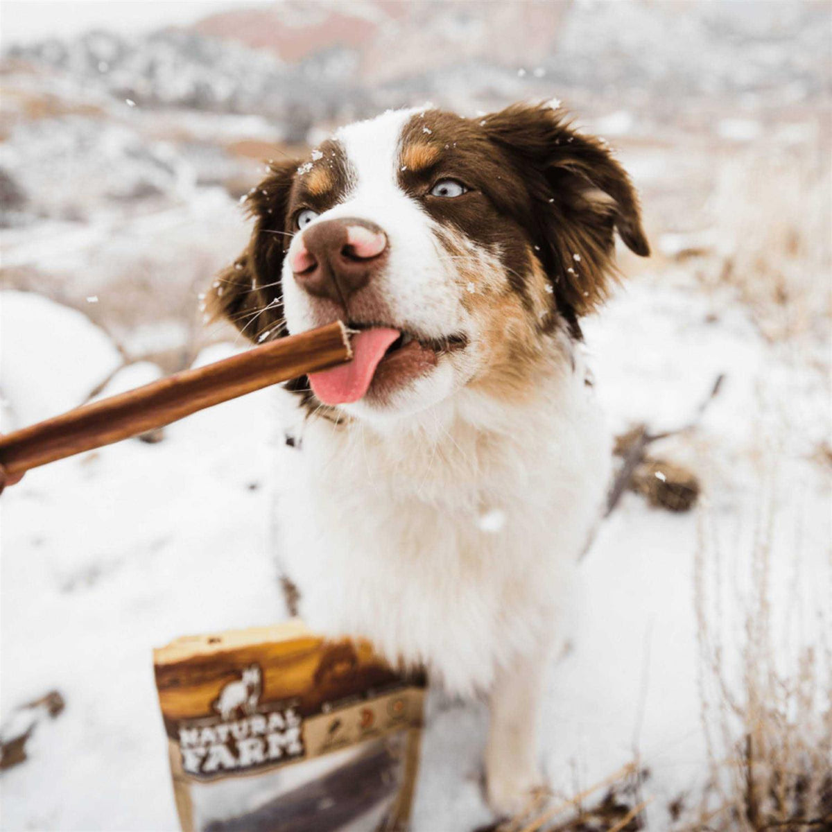 Bully Sticks Odor Free D569