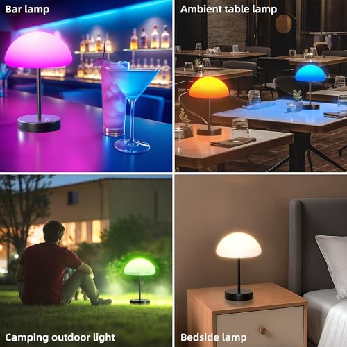 16 Color Changing Rechargeable LED Mood Lamp J15244