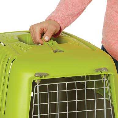 Plastic Pet Carrier N609